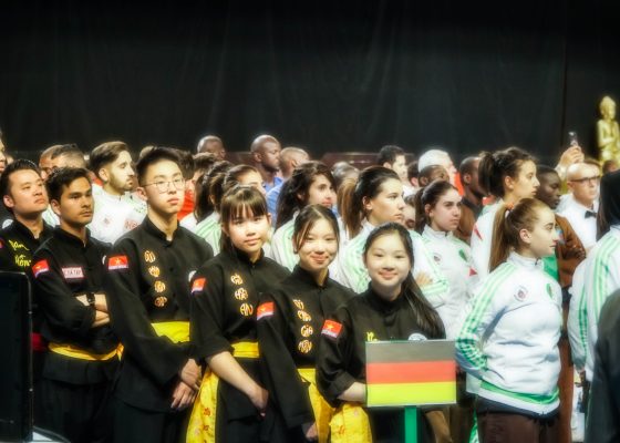 World championship of traditional Vietnamese martial arts in Marseille